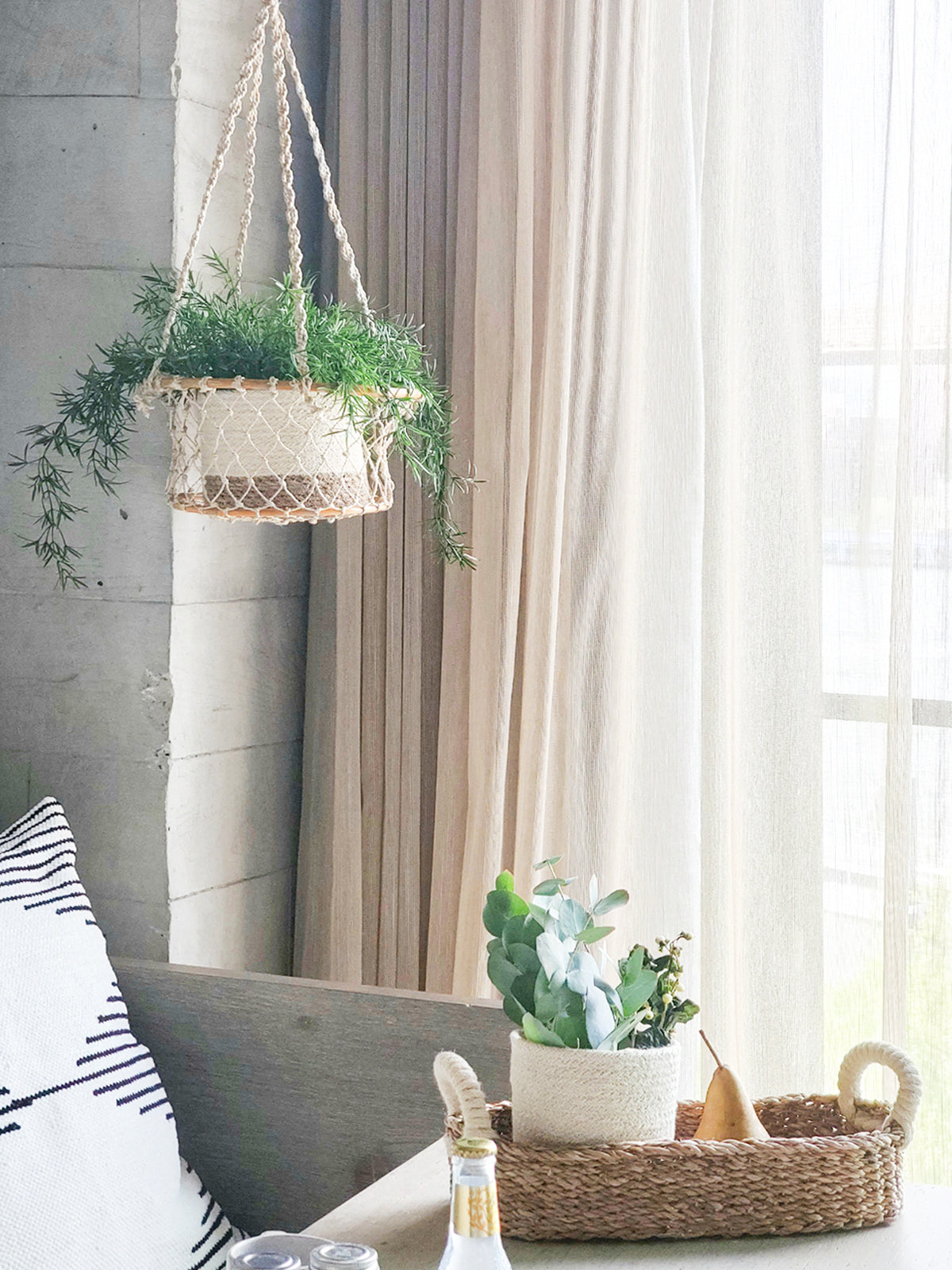 Plant containers and hangers